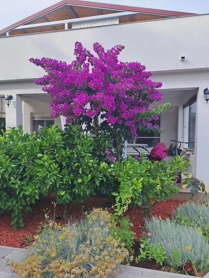 Apartment Noa'S Garden Bibinje Croatia